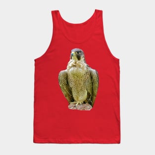 Peregrine falcon Tank Top